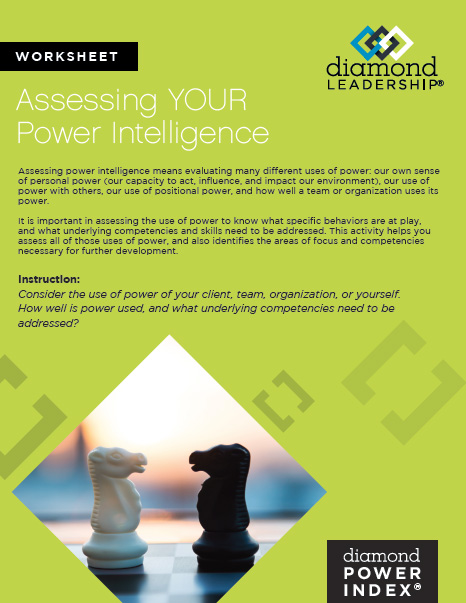 Assessing Your Power Intelligence